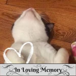 Meet your Posher, Faith